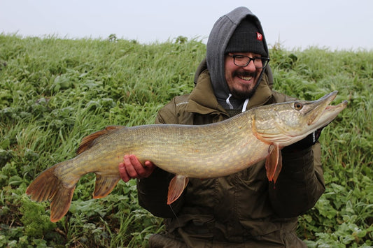 St Ives Tackle Pike 