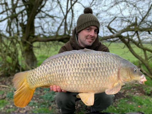 A Spring Carp
