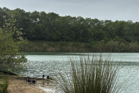 A Guide to getting a fishing rod licence