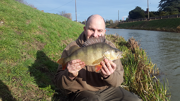 Drop Shotting For Perch Review by Team Member Simon Irvine