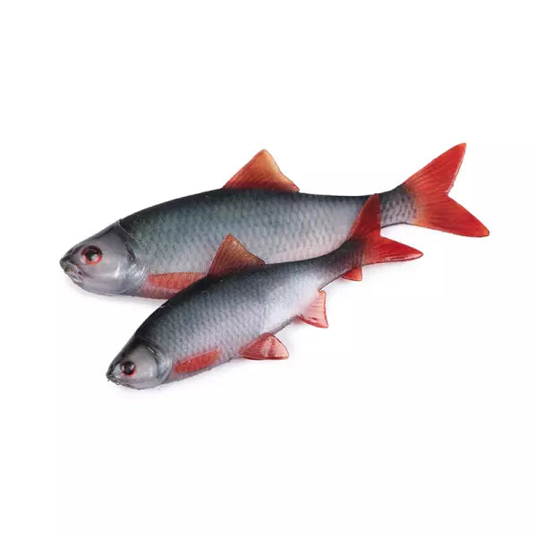 Fox Rage Roach Fillets