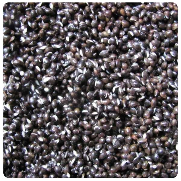 Prepared Hemp Seed 2kg