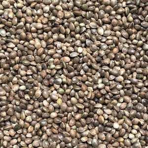 Dry Hemp Seed Unprepared 1kg