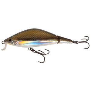 gonzo real shiner lure