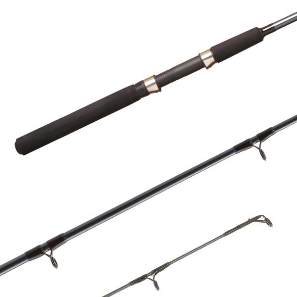 Shimano FX Spinning Rod